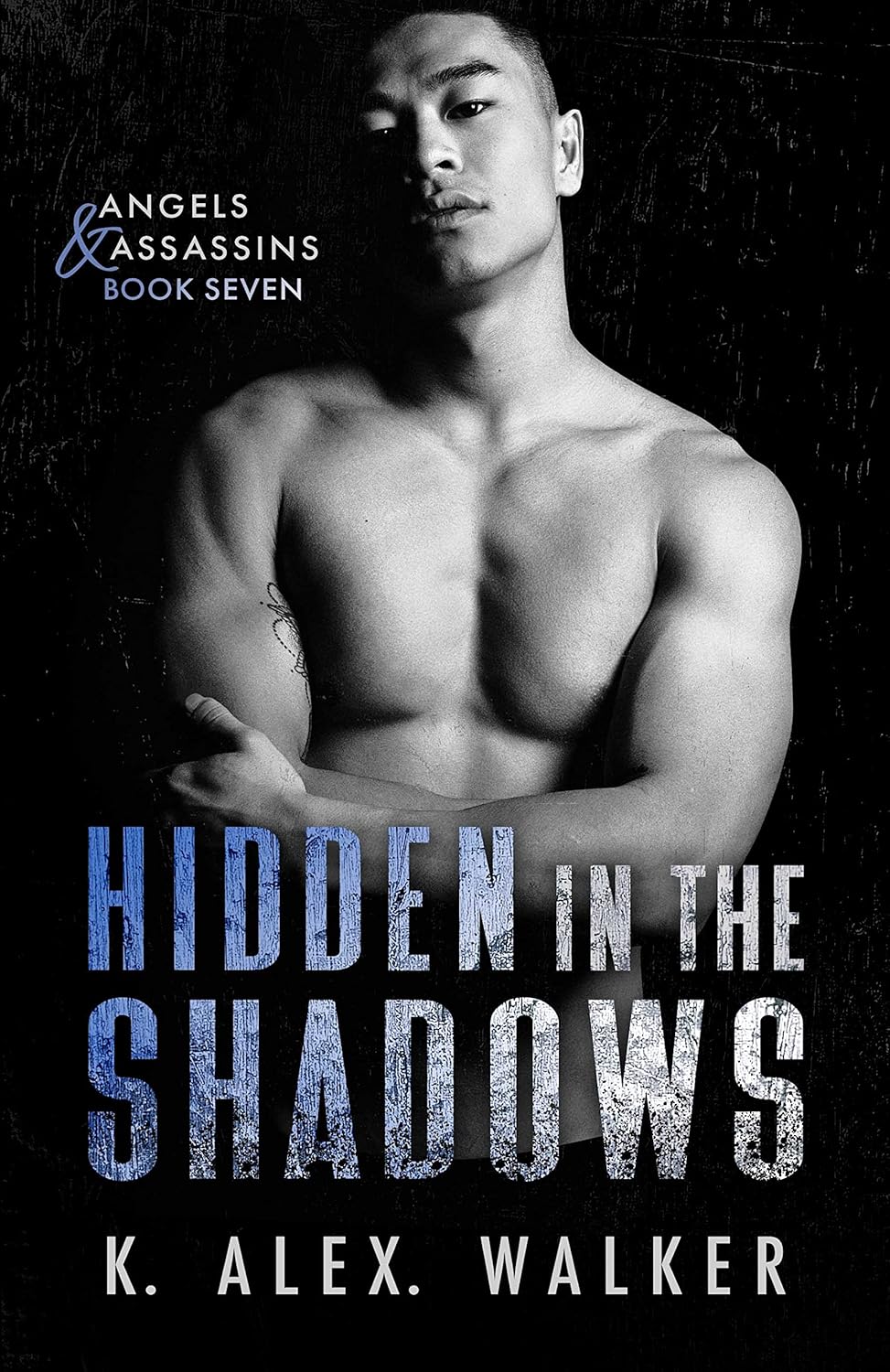 Hidden In The Shadows