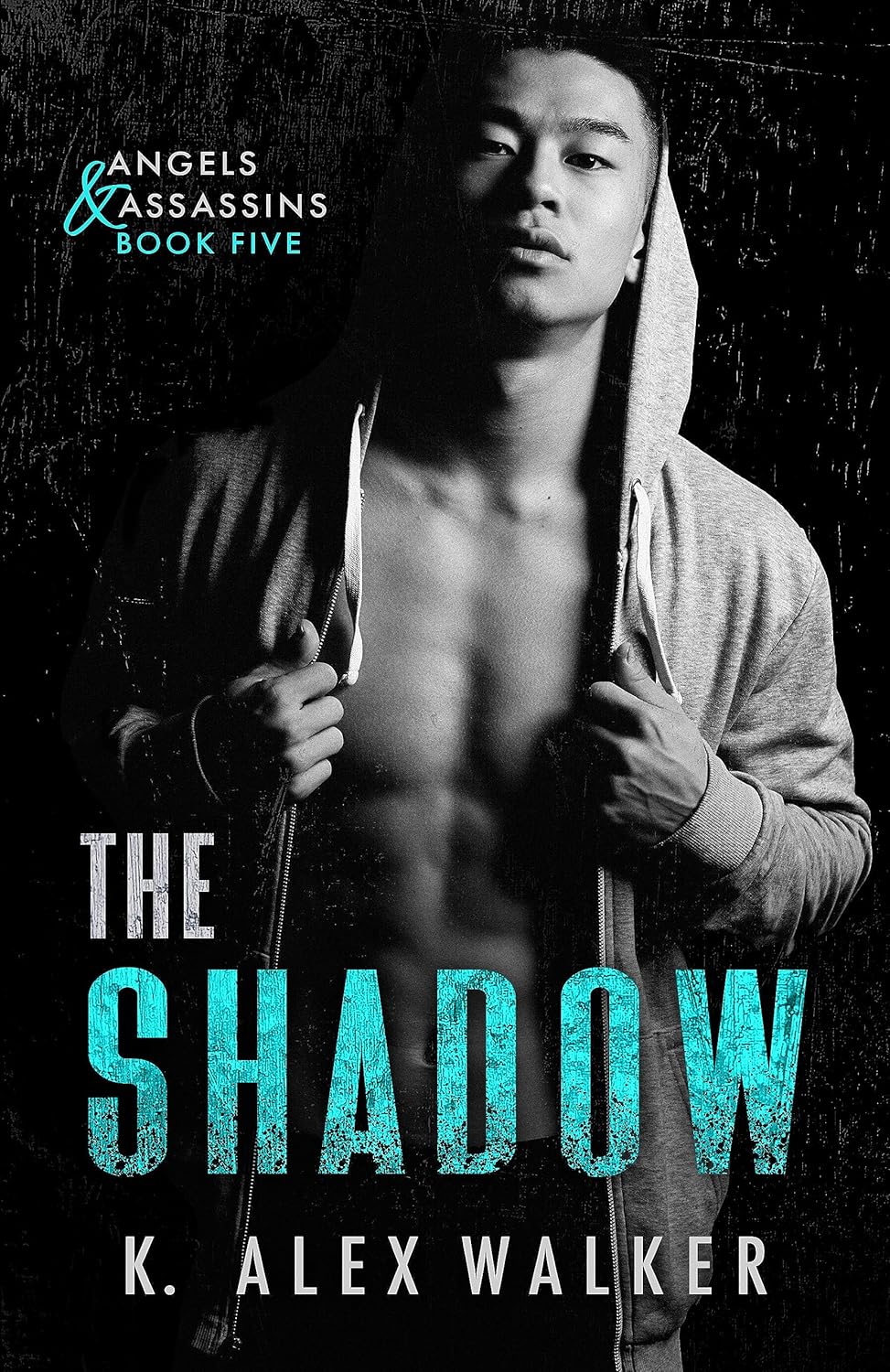 The Shadow (Angels and Assassins - Alpha #5)