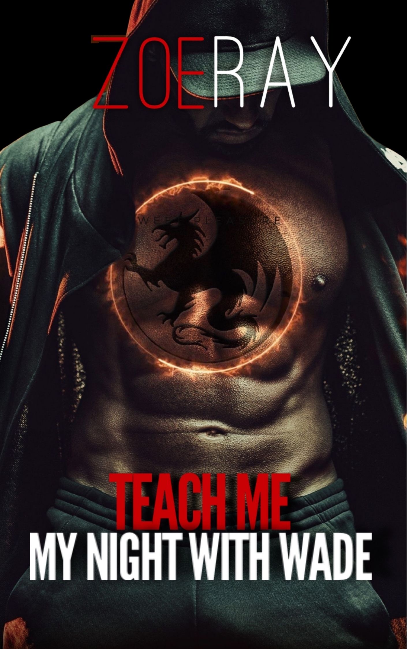 Teach Me: My Night With Wade
